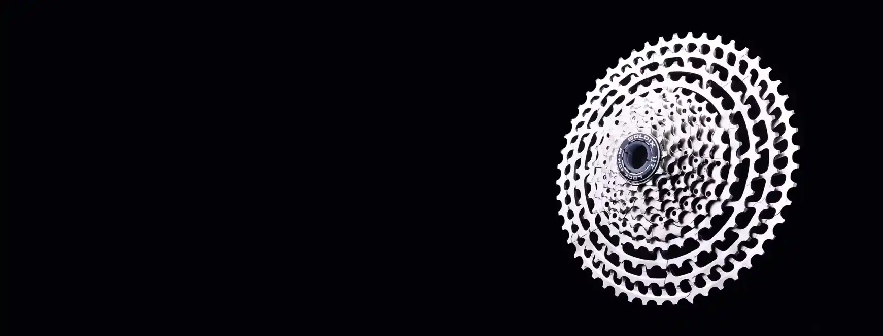 GOLDIX Bike Cassettes